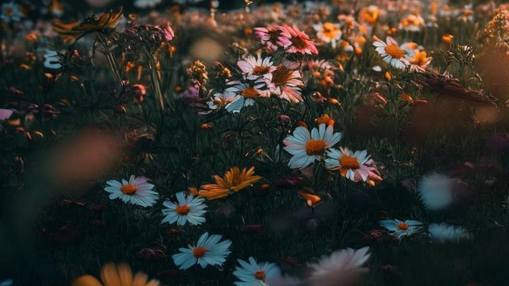 Подарки-убийцы: что никогда нельзя дарить на первом свидании